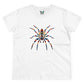 Huntsman Spider Zenthica - Women - Snazzle Tee